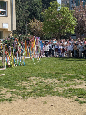 PXL_20250430_081309006