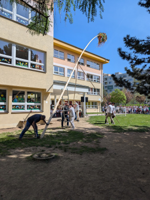 PXL_20250430_084517891