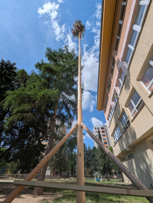 PXL_20250430_091122570