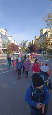 IMG_20241021_102224