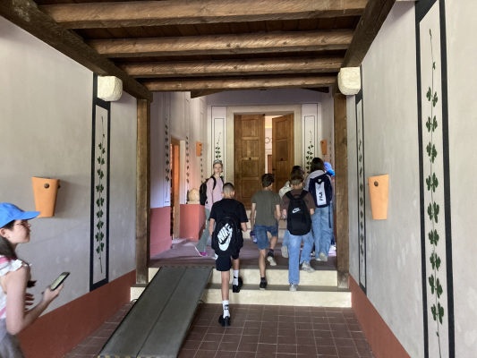 IMG-3833