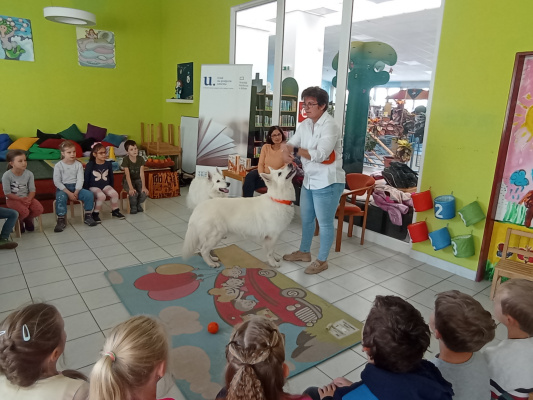 IMG_20241022_104453