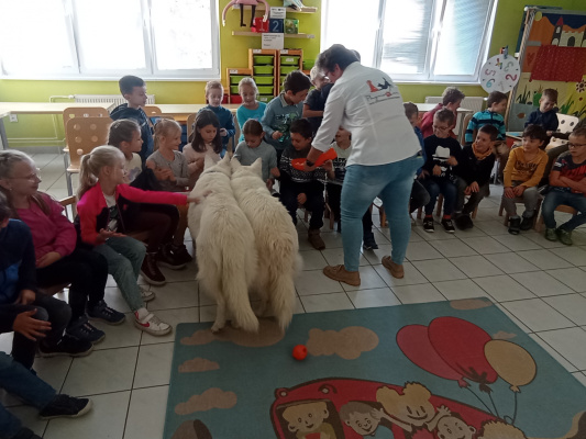 IMG_20241022_104524