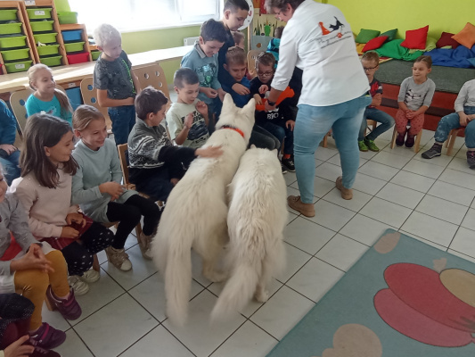 IMG_20241022_104530