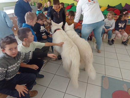 IMG_20241022_104536