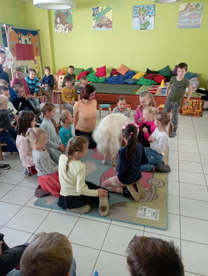 IMG_20241022_110107