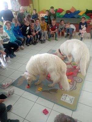 IMG_20241022_112709
