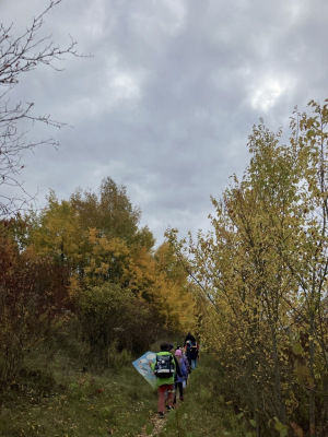 Image-1