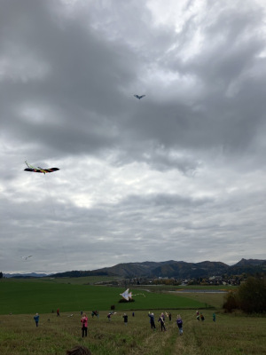 Image-3