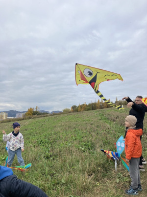 Image-4