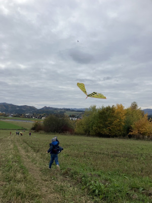 Image-5