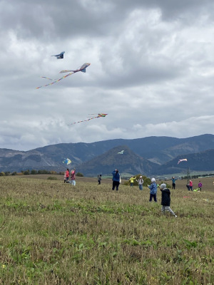 Image-6