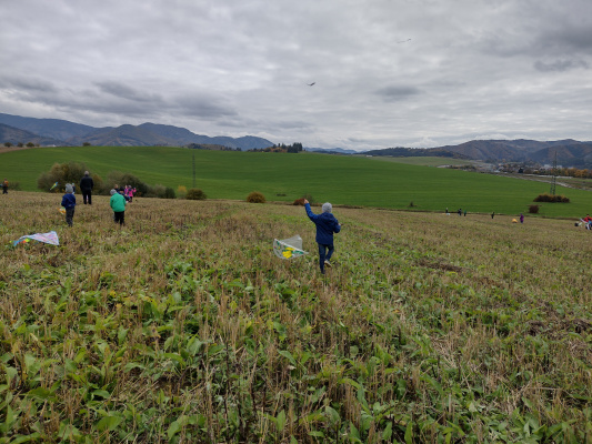 IMG_20251017_150326850_HDR