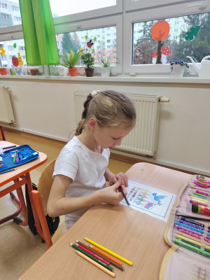 IMG_20251117_111640