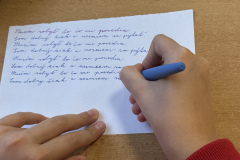 image-20251117-073837-fc819f96