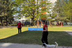 IMG_1973