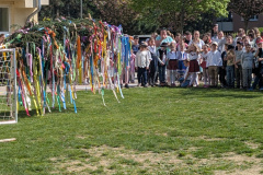PXL_20250430_081309006