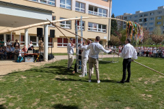 PXL_20250430_083749848