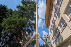 PXL_20250430_091122570